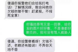 蝶山专业催债公司的市场需求和前景分析